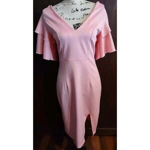 NEW Cottagecore Feminine Pink ruffle sleeve sheath Coquette Dress Size Medium
